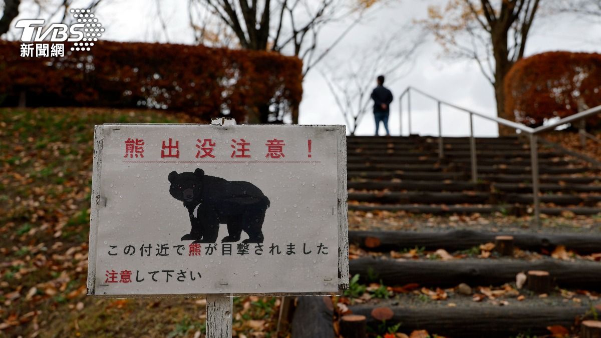 福島市一頭「高智慧熊」疑似會開窗戶鎖、開水龍頭飲水,並且辨識陷阱最終逃逸無蹤。(示意圖/達志影像歐新社)
