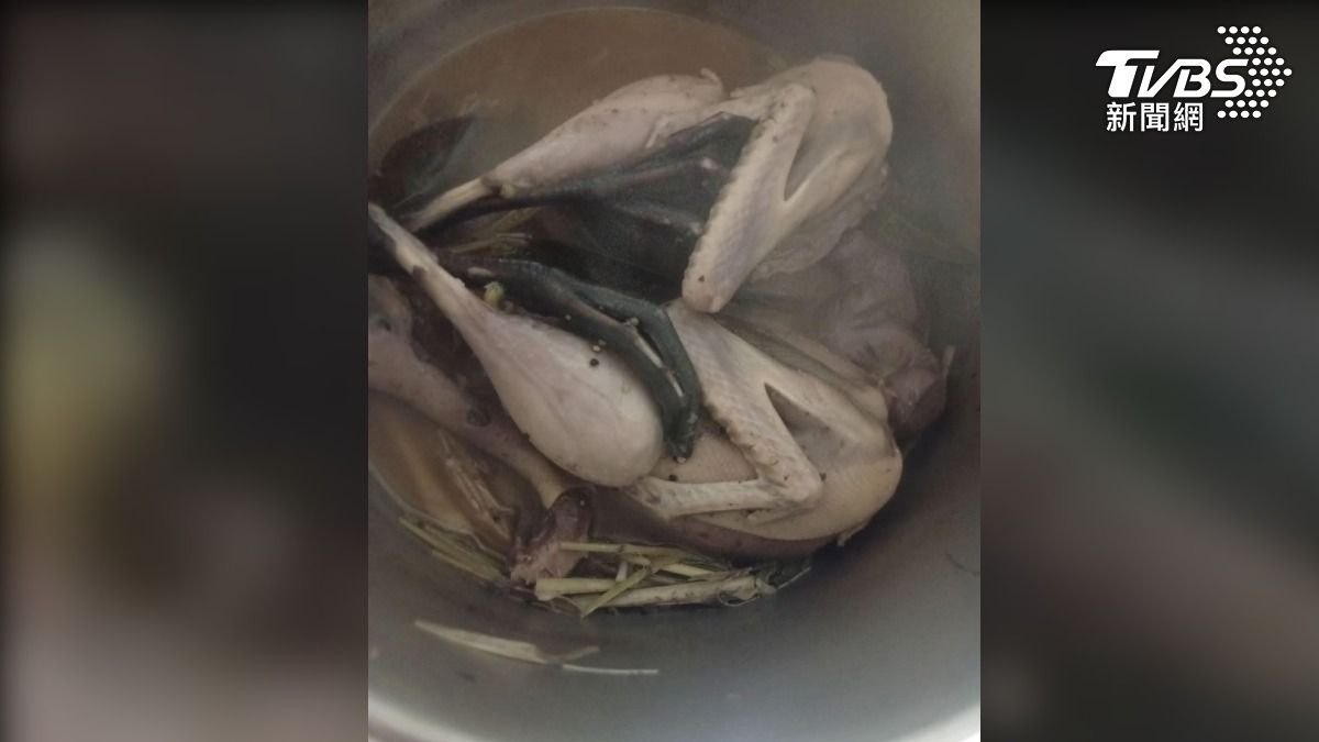 台南一名越南籍移工,他po了黑面琵鷺的照片,留言竟然有鳥類被烹煮的照片,引起網友撻伐(圖/翻攝Threads_wen_qing99)