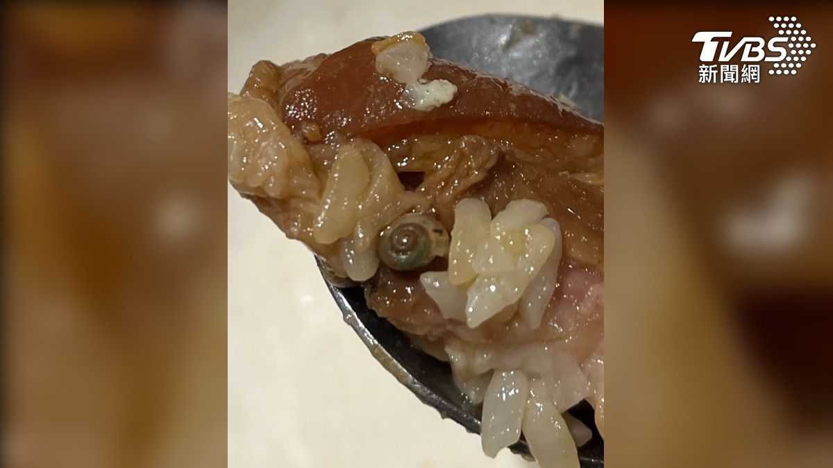 高雄知名肉燥飯店,消費者用餐時發現,肉燥飯裡竟然有一隻蝸牛,說回家後拉了三天肚子,衛生局獲報上門稽查(圖/翻攝Google地圖評論)