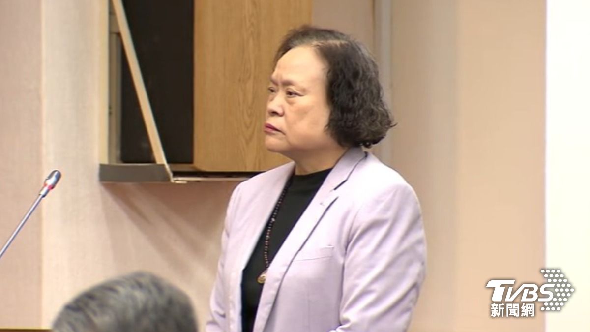 主計長陳淑姿(圖/TVBS資料畫面)
