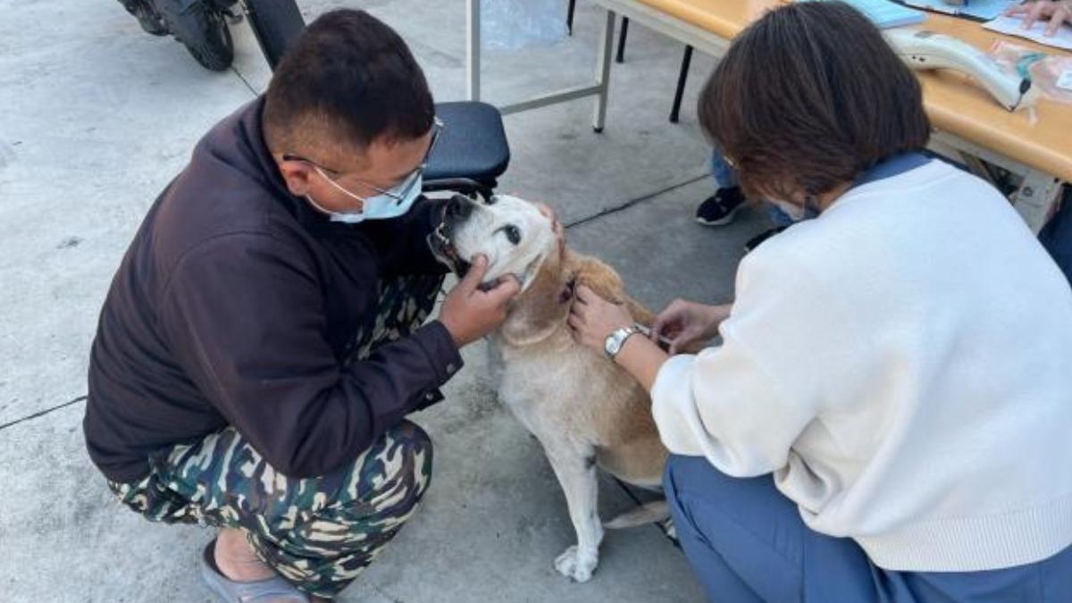 荷包大失血!台南4飼主「漏打狂犬病疫苗」 慘噴破10萬