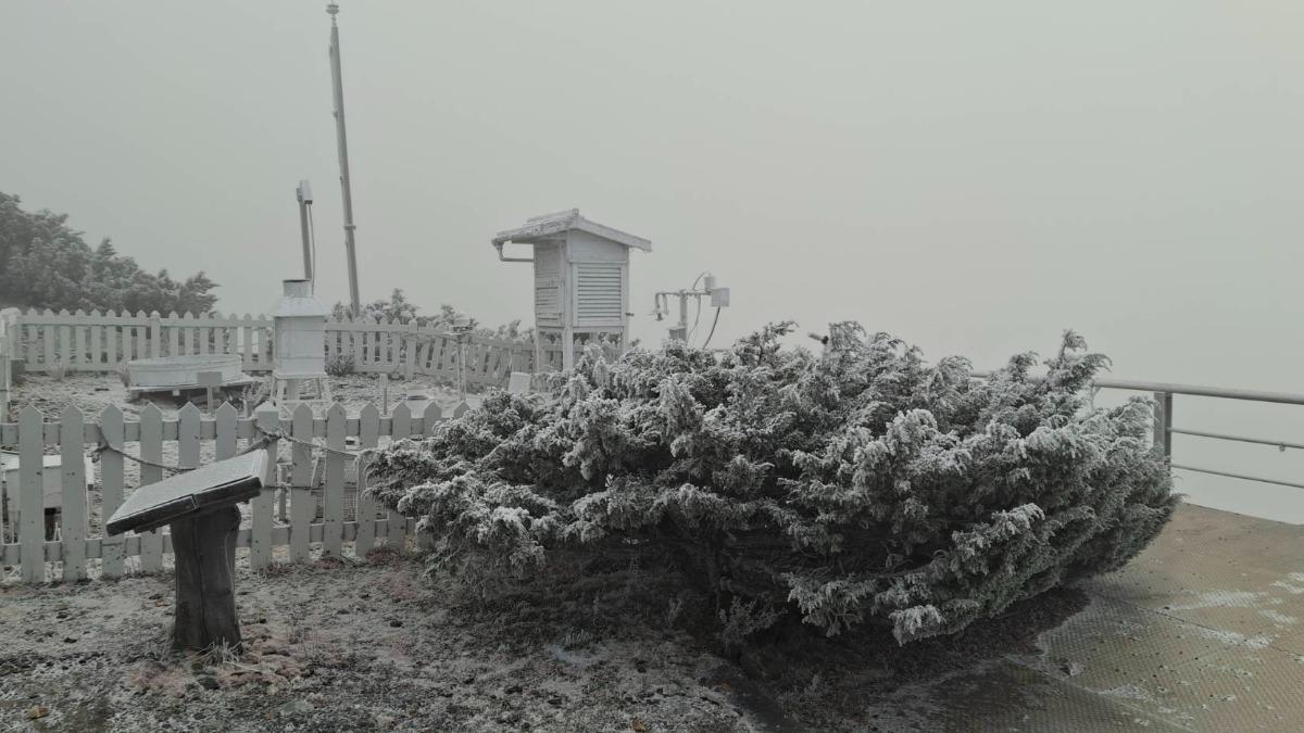 天氣/玉山下雪了!最猛冷氣團發威「6區探10度↓」 3地雨最猛