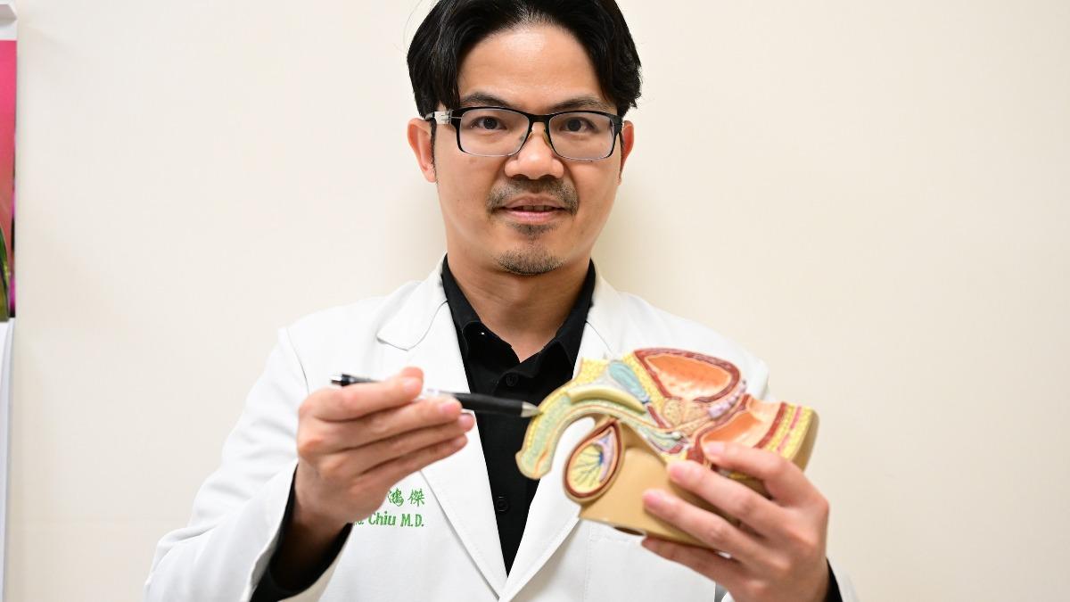 邱鴻傑指出,陰莖本身並沒有骨頭,所謂「骨折」,其實是包覆在陰莖海綿體外層、負責維持勃起硬度的白膜,在強烈外力下產生撕裂。(圖/亞大附醫提供)