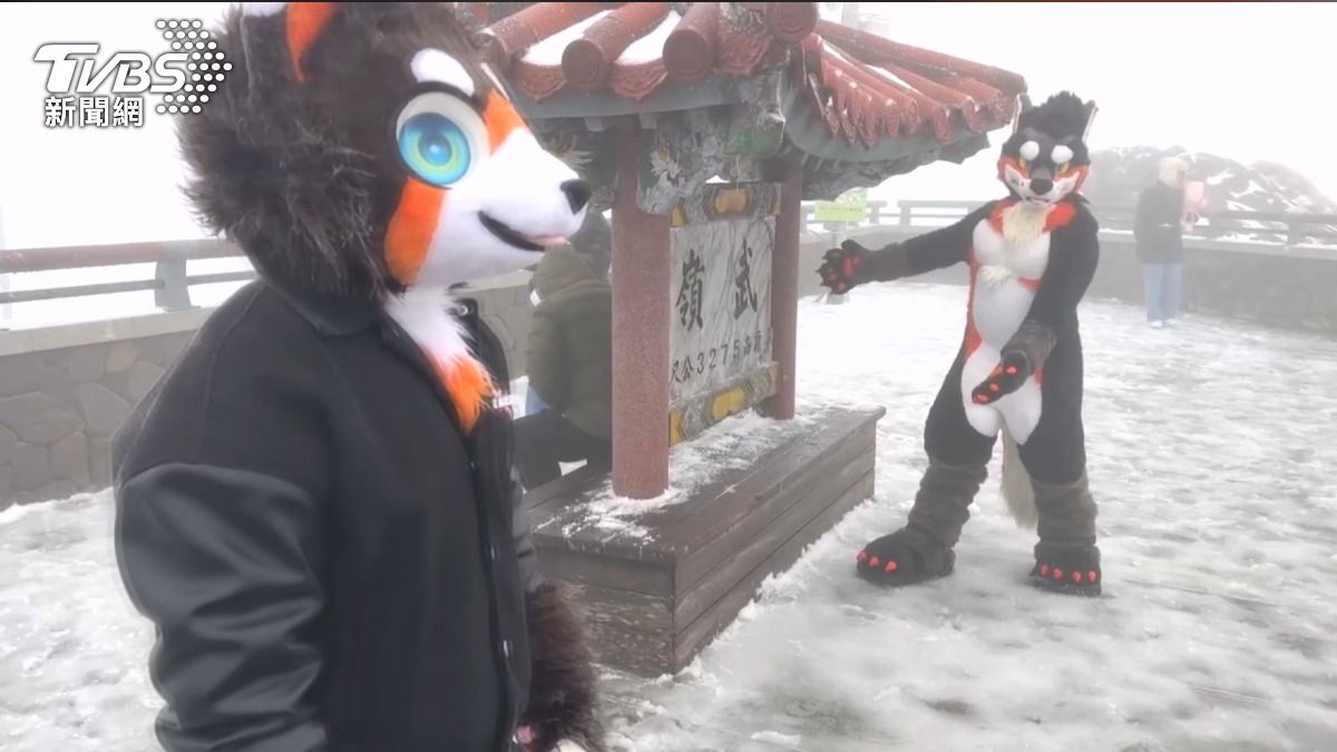 合歡山雪景吸睛 情侶求婚成功上武嶺追雪。(圖/TVBS)