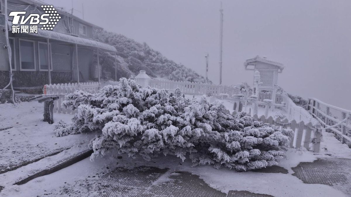 合歡山、玉山今晨下雪了!追雪人潮湧現 銀白絕美景象曝