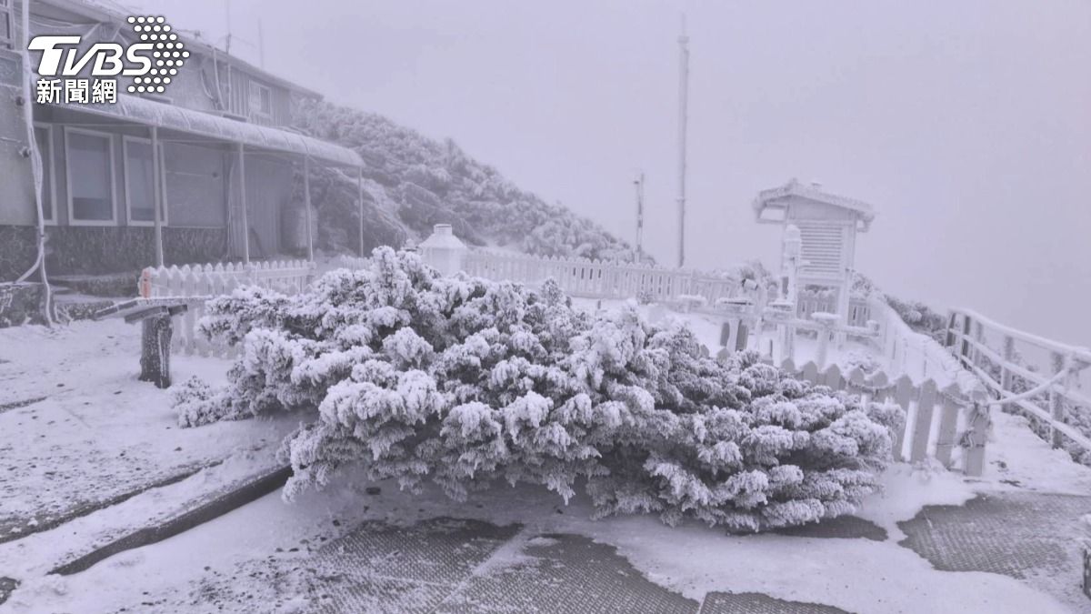 零下1度奇景！合歡山下9公分雪，遊客狂蓋「小雪屋」瘋拍照。(圖／畫面提供南投林保署)