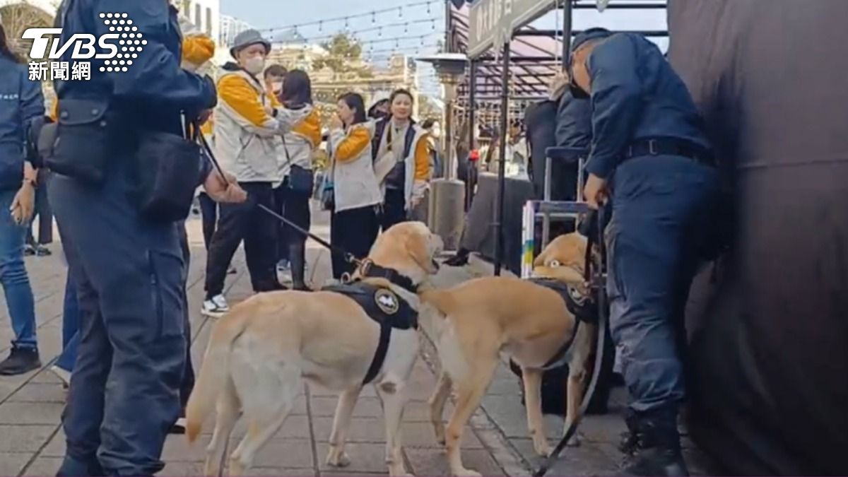 警犬隊也加入維安行動。（圖／TVBS）