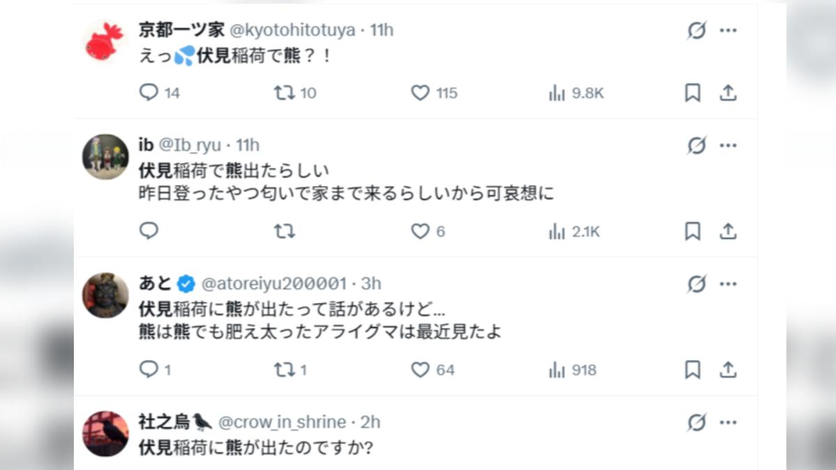 京都伏見稻荷熊出沒的消息,在社群媒體引發關注。(圖/翻攝自X)