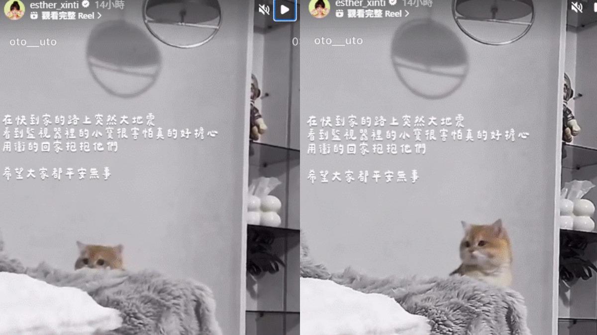 吳心緹突遇地震,趕忙查看家中監視器確認兩位毛小孩的安全。(圖/翻攝自IG@esther_xinti)