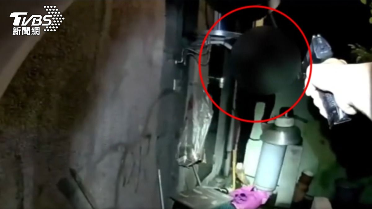 竊賊當蜘蛛人,攀爬遮雨棚行竊,被警逮還在竄逃。(圖/TVBS)