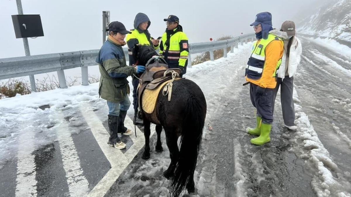 有民眾騎馬上山遭開罰單。（圖／太魯閣國家公園管理處提供）