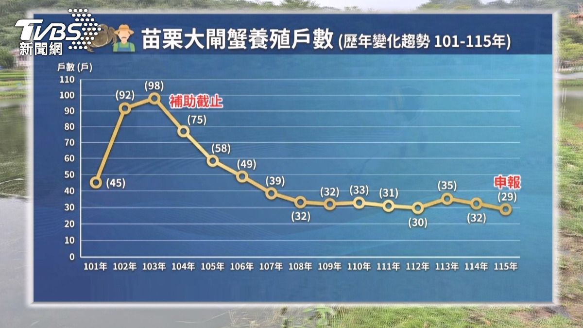 養殖大閘蟹面臨多重困境,初期存活率不到兩成,通路問題也嚴重影響銷售,加上多數是業餘養殖。(圖/TVBS)