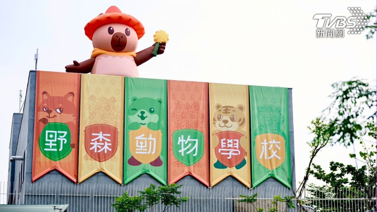 高雄第二座動物園來了!「野森動物學校」1月試營運 亮點搶先看