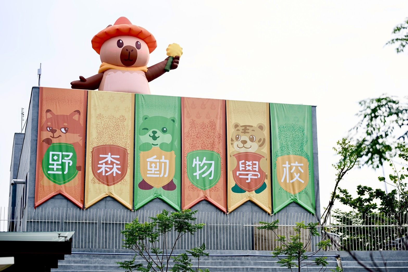 高雄內門觀光休閒園區將蛻變為「野森動物學校」，預計2026年1月17日試營運。（圖／中央社）