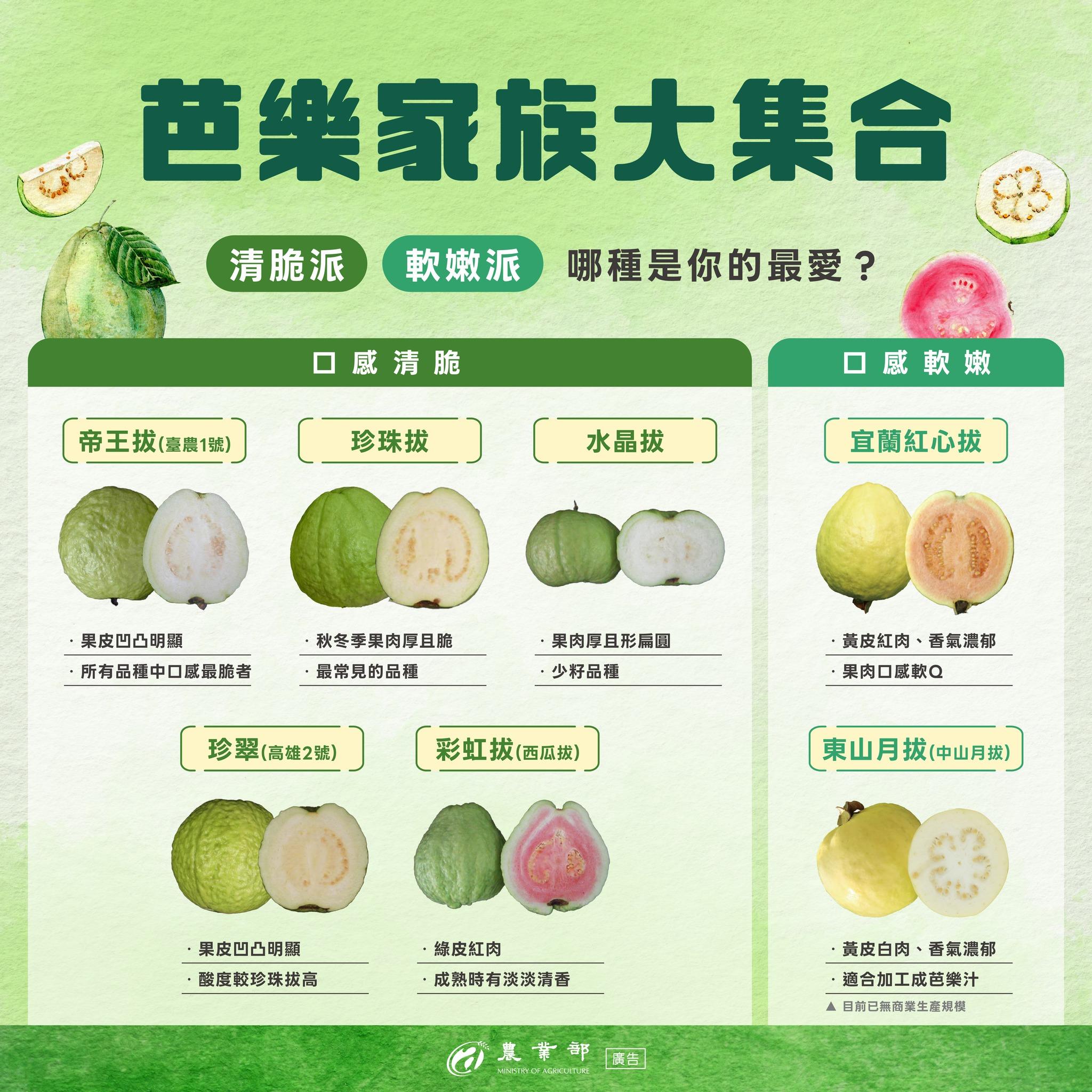 芭樂想吃軟還吃硬,可根據個人喜好挑選。(圖/翻攝自農業部臉書)