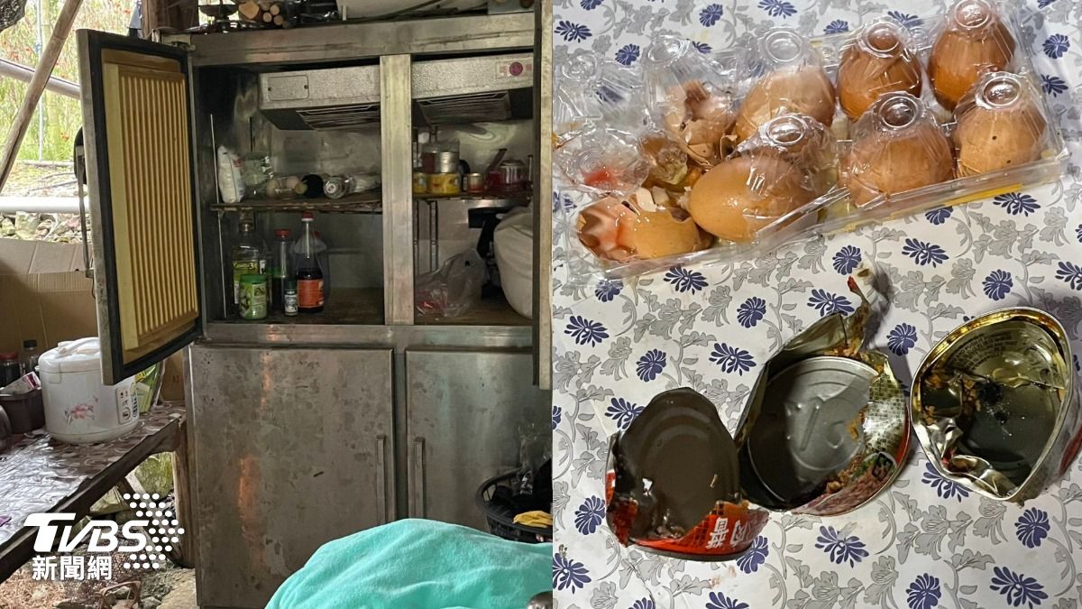 阿里山首見!「臺灣黑熊」闖工寮 聰明開冰箱爽嗑食物還開罐頭