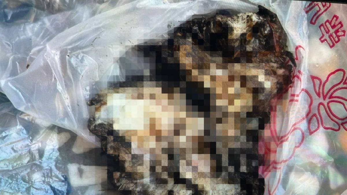 「血淋淋肉塊」藏花盆!高雄婦報警嚇到腿軟 監視器拍下關鍵一幕