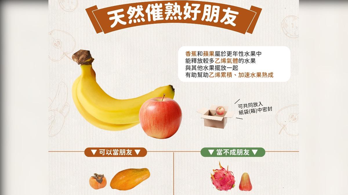 水果買回家怎放?農糧署揭「後熟」秘密:混著放爛更快