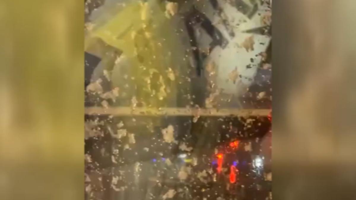 日本東京突然下大雪導致飛機延誤。(圖/owenisnotoven threads)