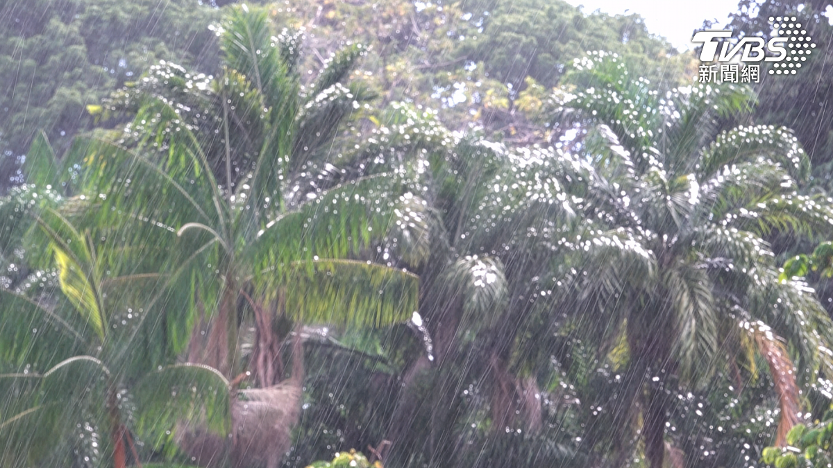 亞馬遜雨林是南美洲水循環的重要環節。(攝/TVBS特派記者 朱光弘)