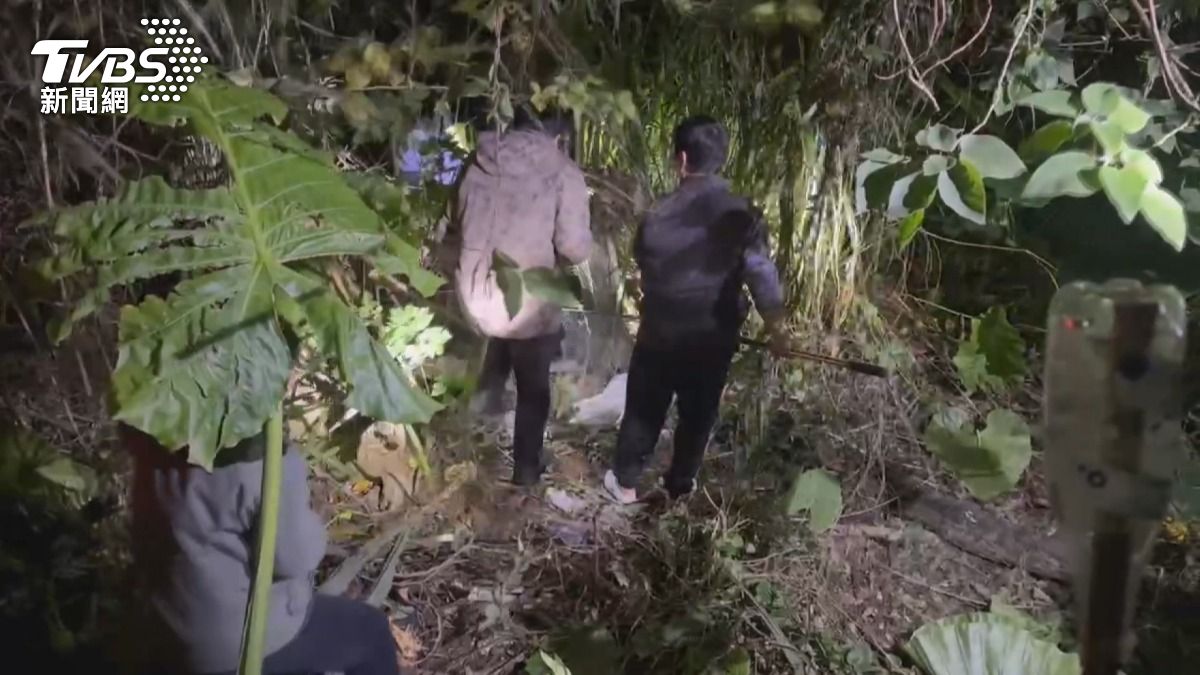 沒結紮嘸法可管!　 養兔狂生因被咬45隻丟山區　動保人士深夜救援。(圖／TVBS)
