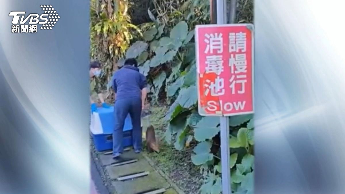 園方將山羌野放。（圖／TVBS）