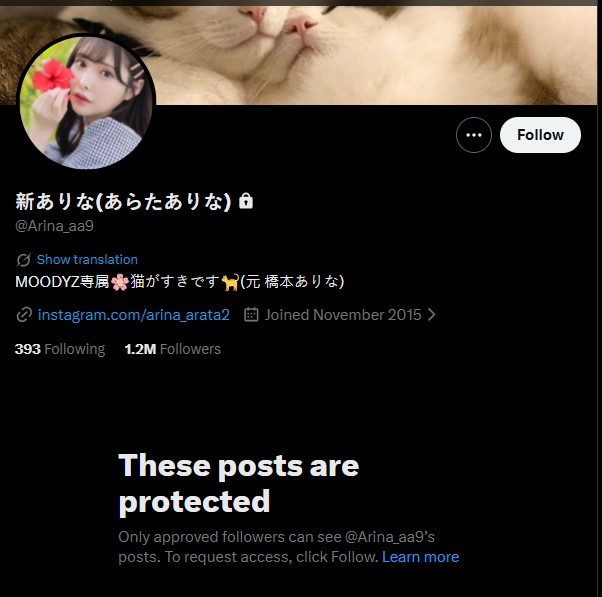 新有菜目前已將擁有百萬粉絲的X帳號封鎖。(圖/翻攝自「@Arina_aa9」X)