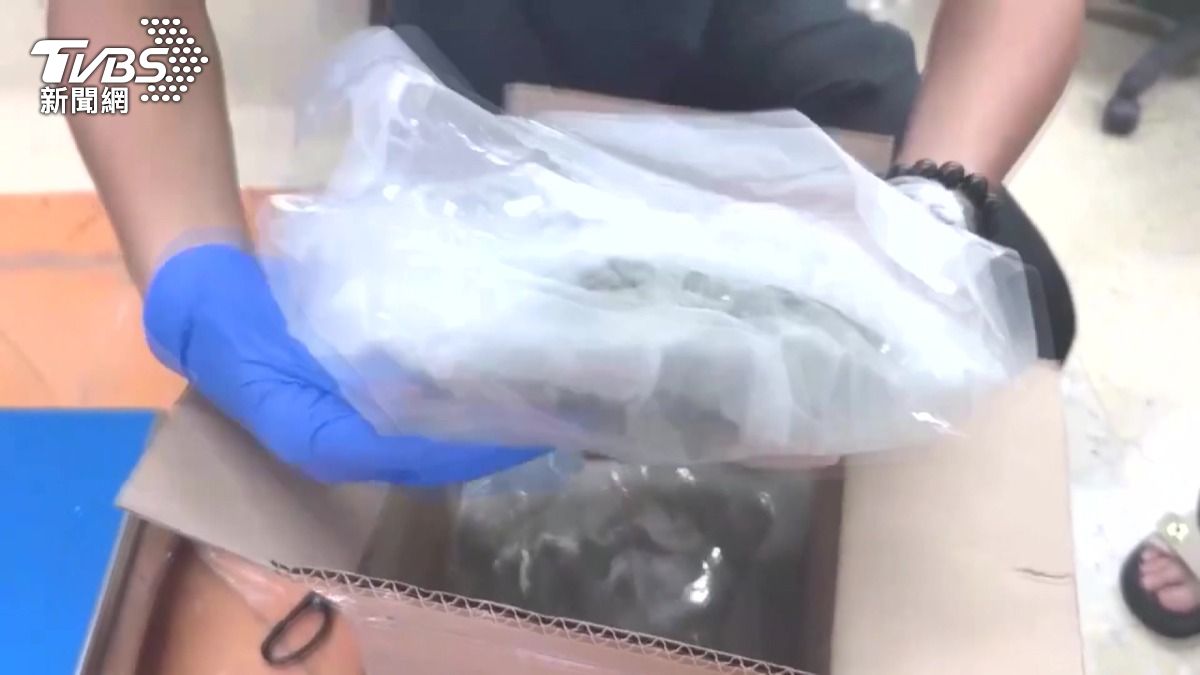 警方總共逮捕了7名嫌疑人，成功瓦解這個跨國運毒網絡。(圖／TVBS)