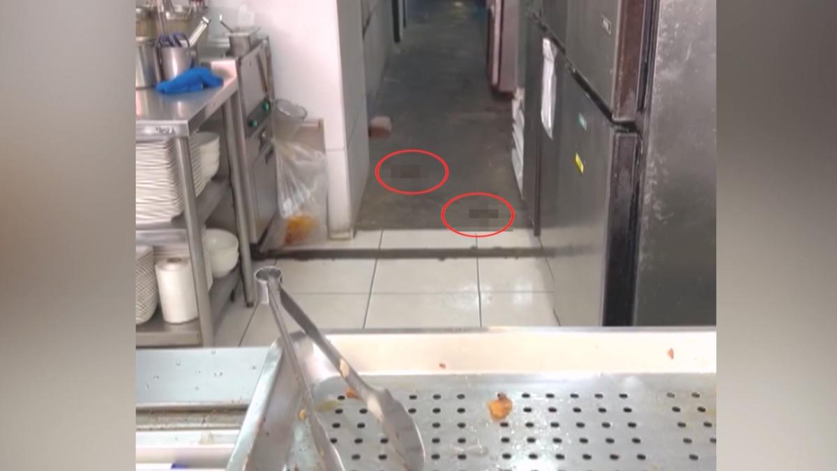 2米奇亂竄嚇客爆食安危機！八方雲集:門市通過稽查才復業。（圖／翻攝嘉義綠豆大小事）