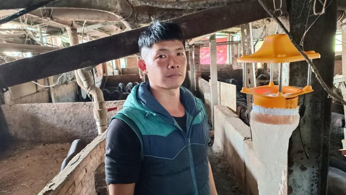 新北嚴防非洲豬瘟！廚餘違規處分數居冠　捕蟲燈強化防疫漏洞