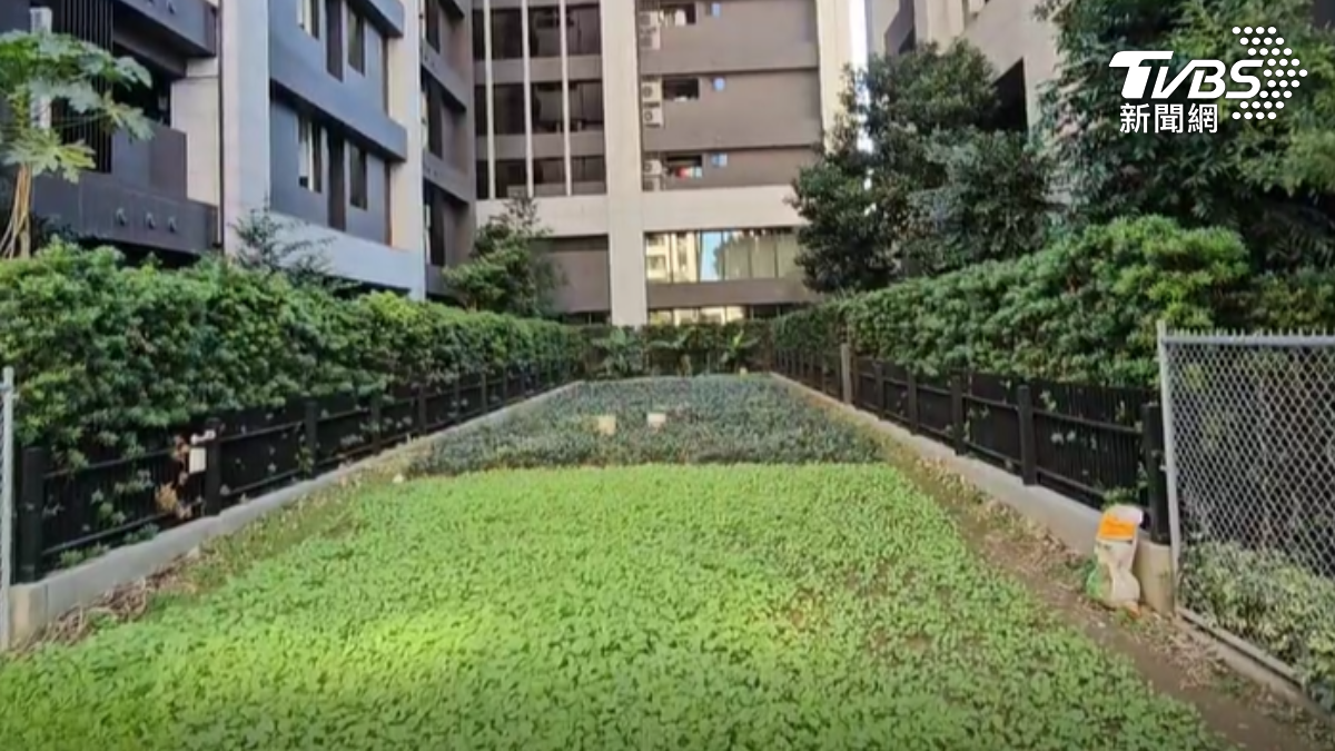 重劃區中菜園地因為畸零地沒賣出,成為最貴菜園,地主好無奈。(圖/TVBS)