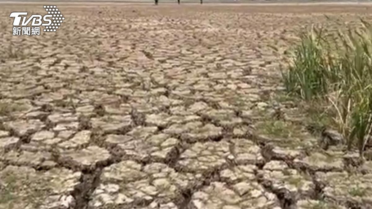 地球進入沸騰時代 鄭明典呼籲謹慎以對 (圖/TVBS)