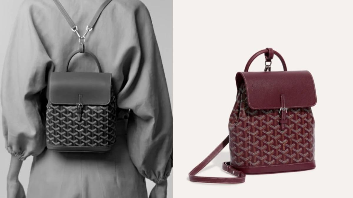 Goyard Alpin Mini在韓國人氣迅速竄升。(圖/翻攝自Goyard)