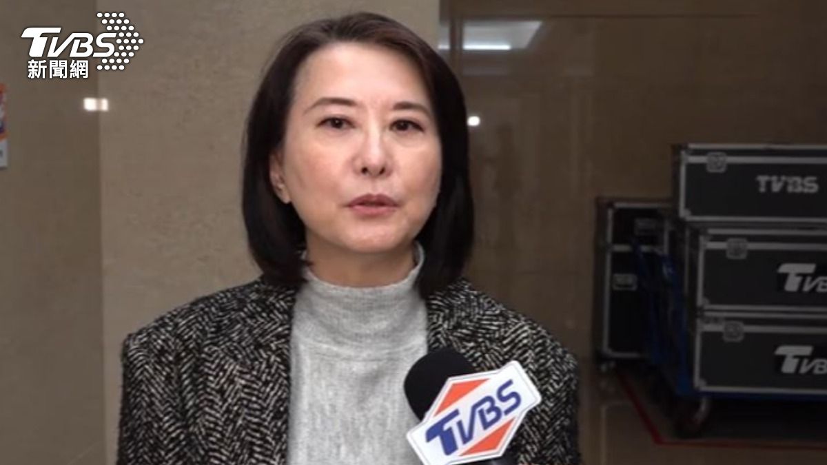 國民黨立委王鴻薇。(圖/TVBS)