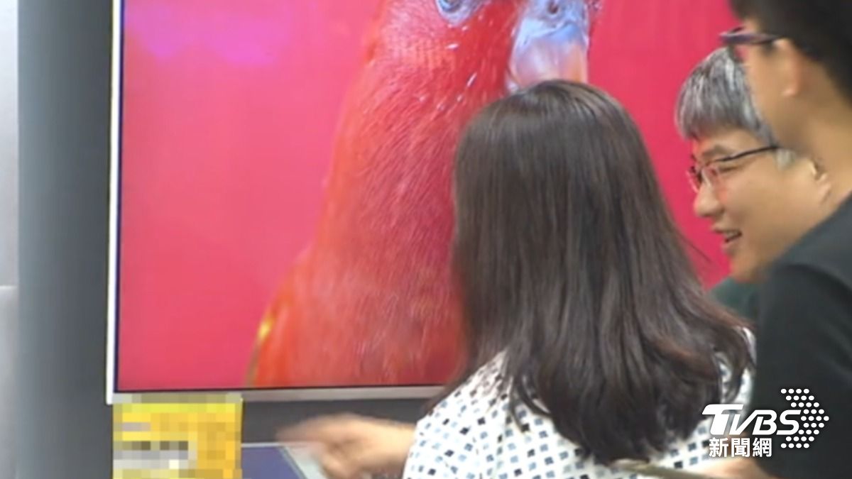 接下來面板族群是否持續強勢表現,成為各界關注焦點。(圖/TVBS)
