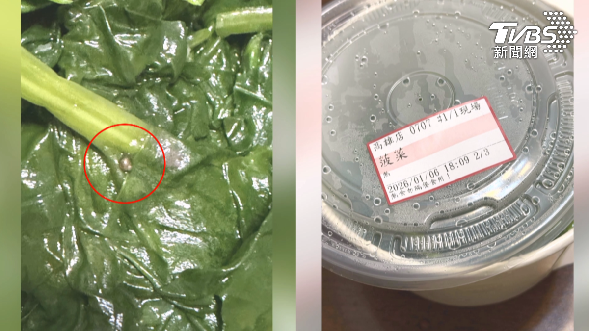 高雄有民眾到百貨公司內的連鎖中式餐廳,買一盒250元的菠菜回家,卻不料打開看到有一隻小蝸牛,氣得把整件事PO上網路。(圖/翻攝爆料公社)
