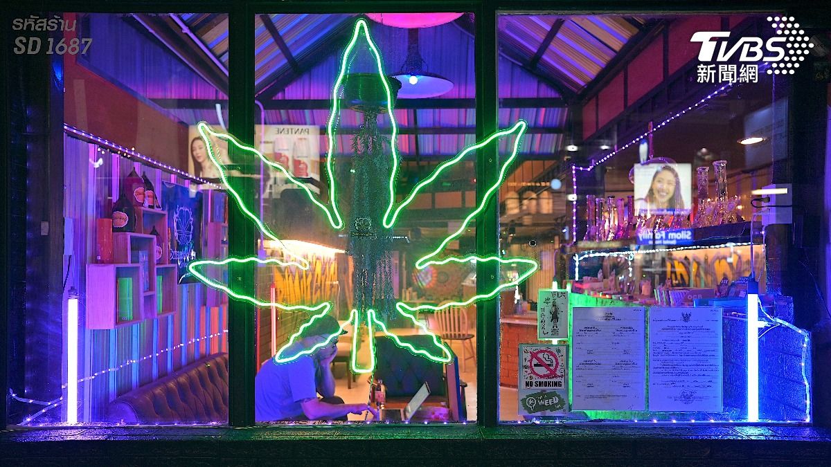 泰國-泰國大麻-泰國大麻合法化-泰國禁大麻-泰國大麻禁令-大麻合法-泰國大麻現況-泰國大麻政策-泰國大麻2026