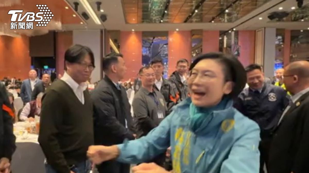 民進黨立委林岱樺。(圖/TVBS)