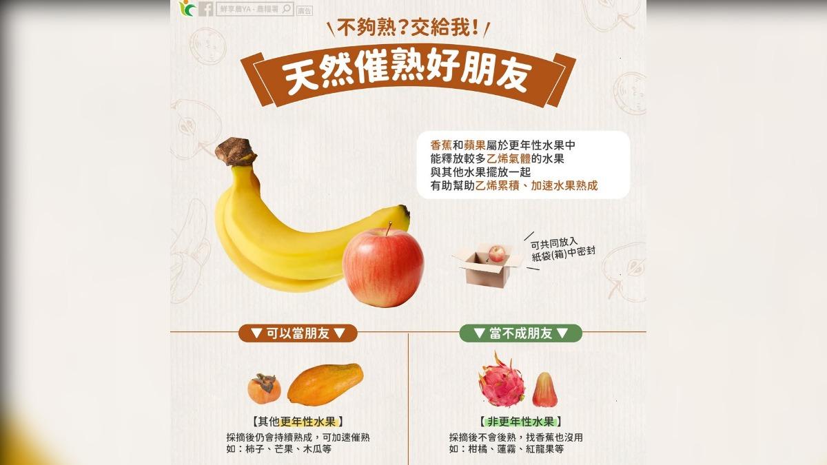 水果怎麼催熟最快?農糧署教「同放這類」:密封擺放效果最佳
