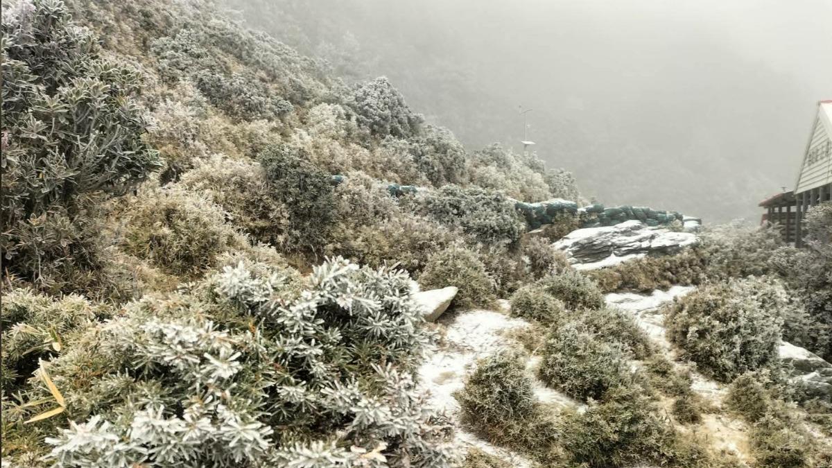 嘉明湖山上從凌晨四點開始下雪，一陣接一陣。（圖／熊出沒團隊提供）