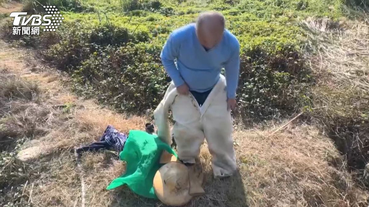 專業人員抵達農田後，隨即全副武裝進入草叢，將完整蜂窩取出放入袋中。(圖／TVBS)