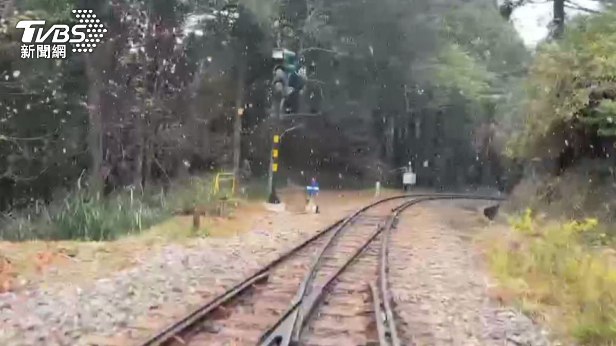 睽違8年！阿里山飄雪　低溫再探底。(圖／TVBS)