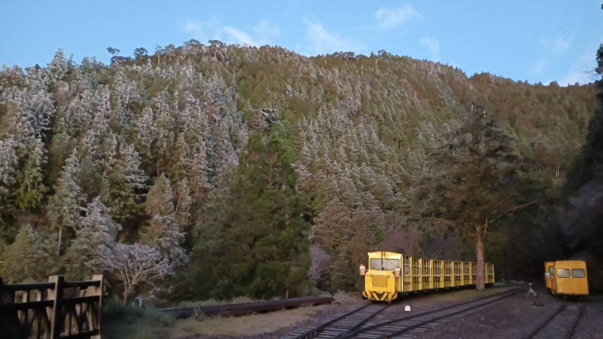 太平山雖未下雪,不過霧淞美景仍相當迷人。(圖/太平山國家森林遊樂區提供)
