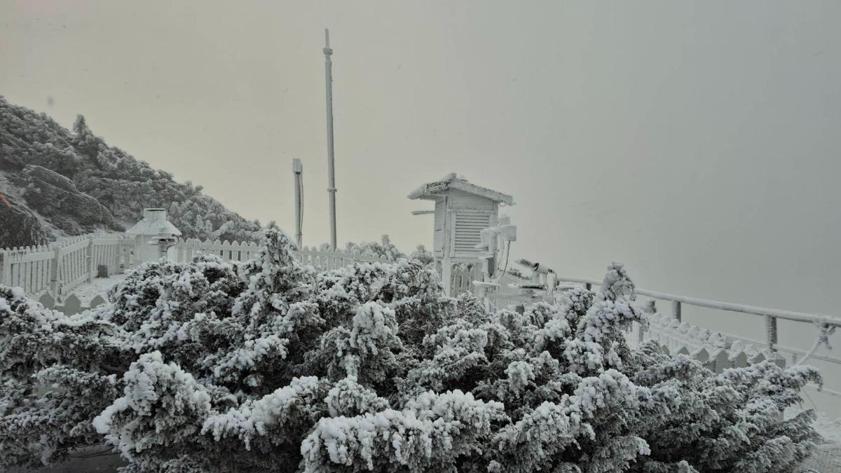 入冬首波寒流發威!玉山「持續降雪」 整片銀白世界太夢幻