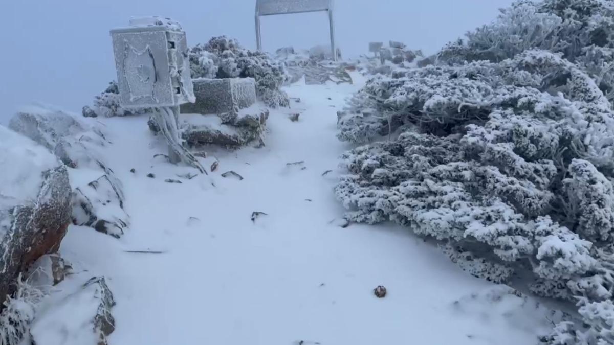 玉山降雪成銀白世界。(圖/中央氣象署提供)