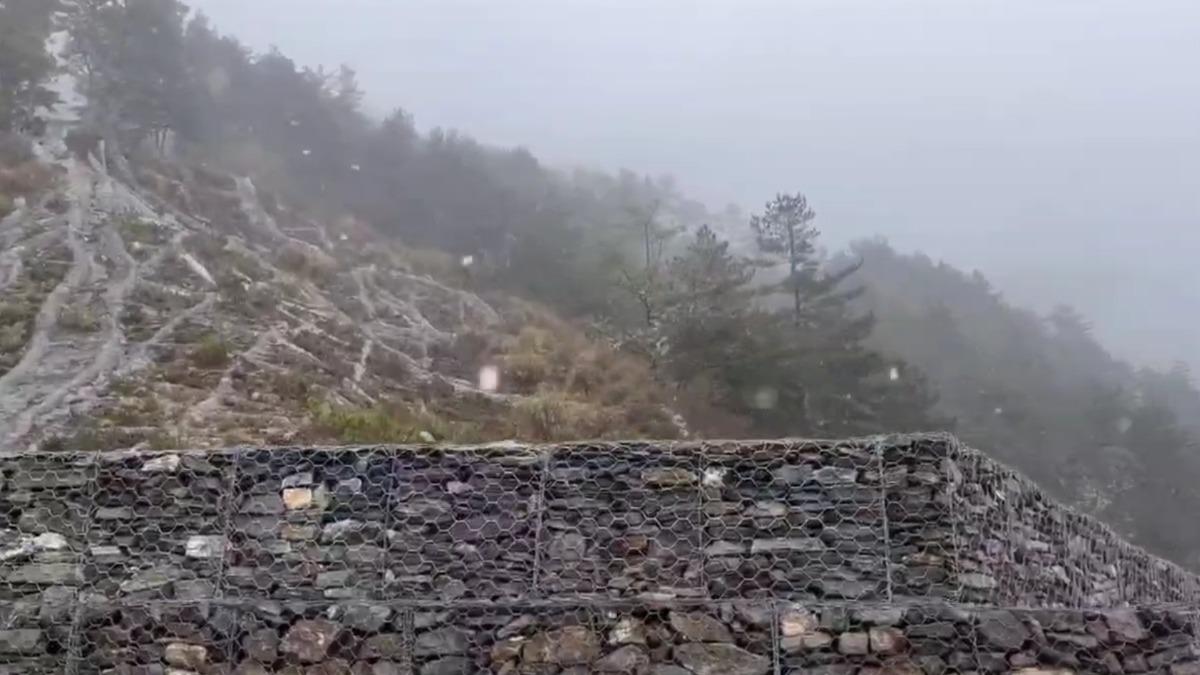 南橫埡口下起白雪,不少旅客前往追雪。(圖/民眾授權提供)