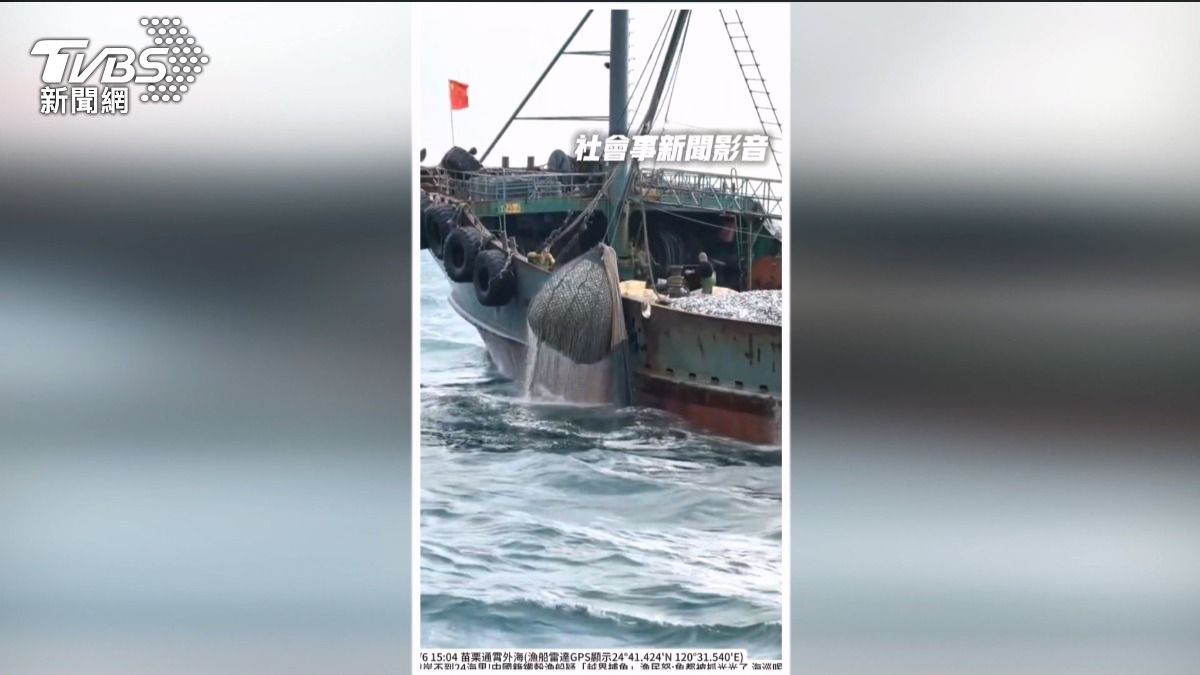 苗栗外海驚見中國船撈爆漁獲!漁民怒吼:海巡人呢?。(圖/社會事新聞影音)