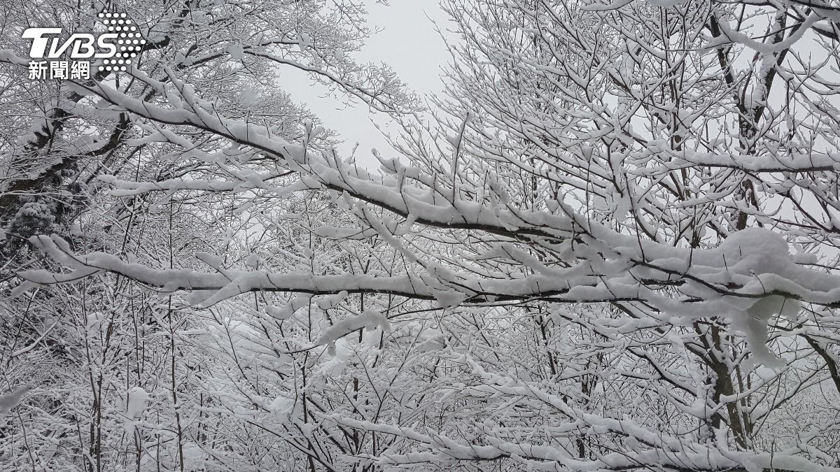 旅遊注意!日本3連休迎暴風雪 「北海道至九州交通」恐受影響