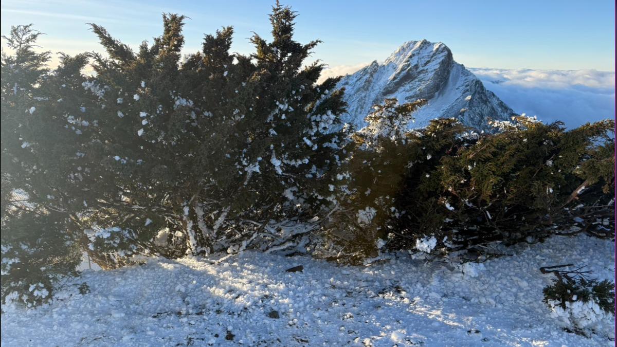 留下的積雪和霧淞。(圖/中央氣象署提供)