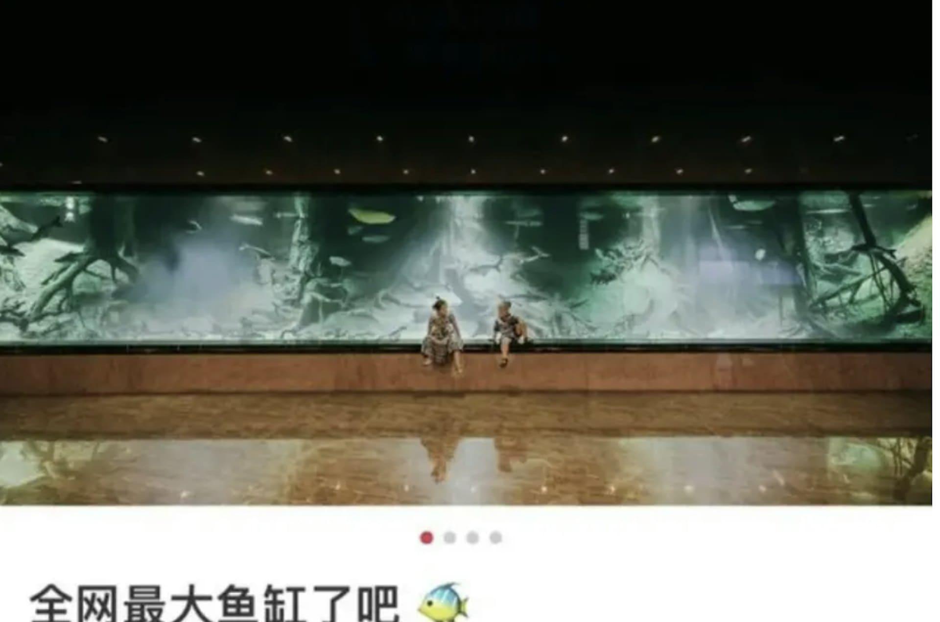 Eva家中的「巨型魚缸」。（圖／翻攝自小紅書）